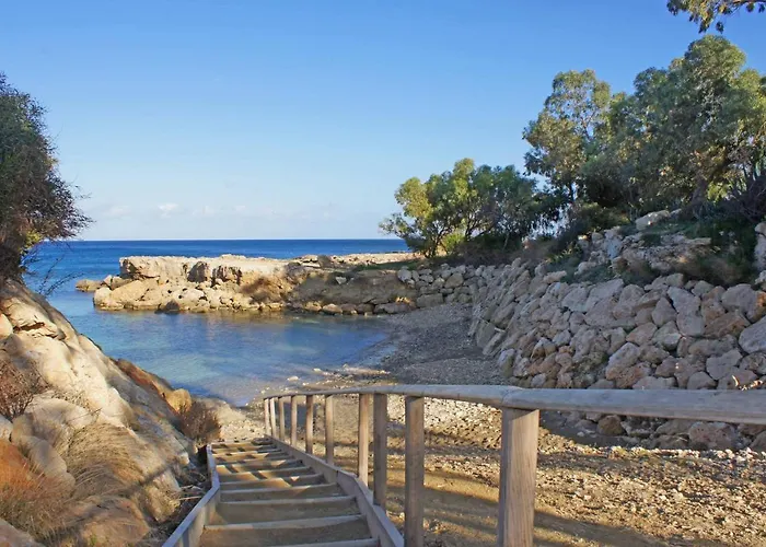 Blue Oasis Πρωταράς